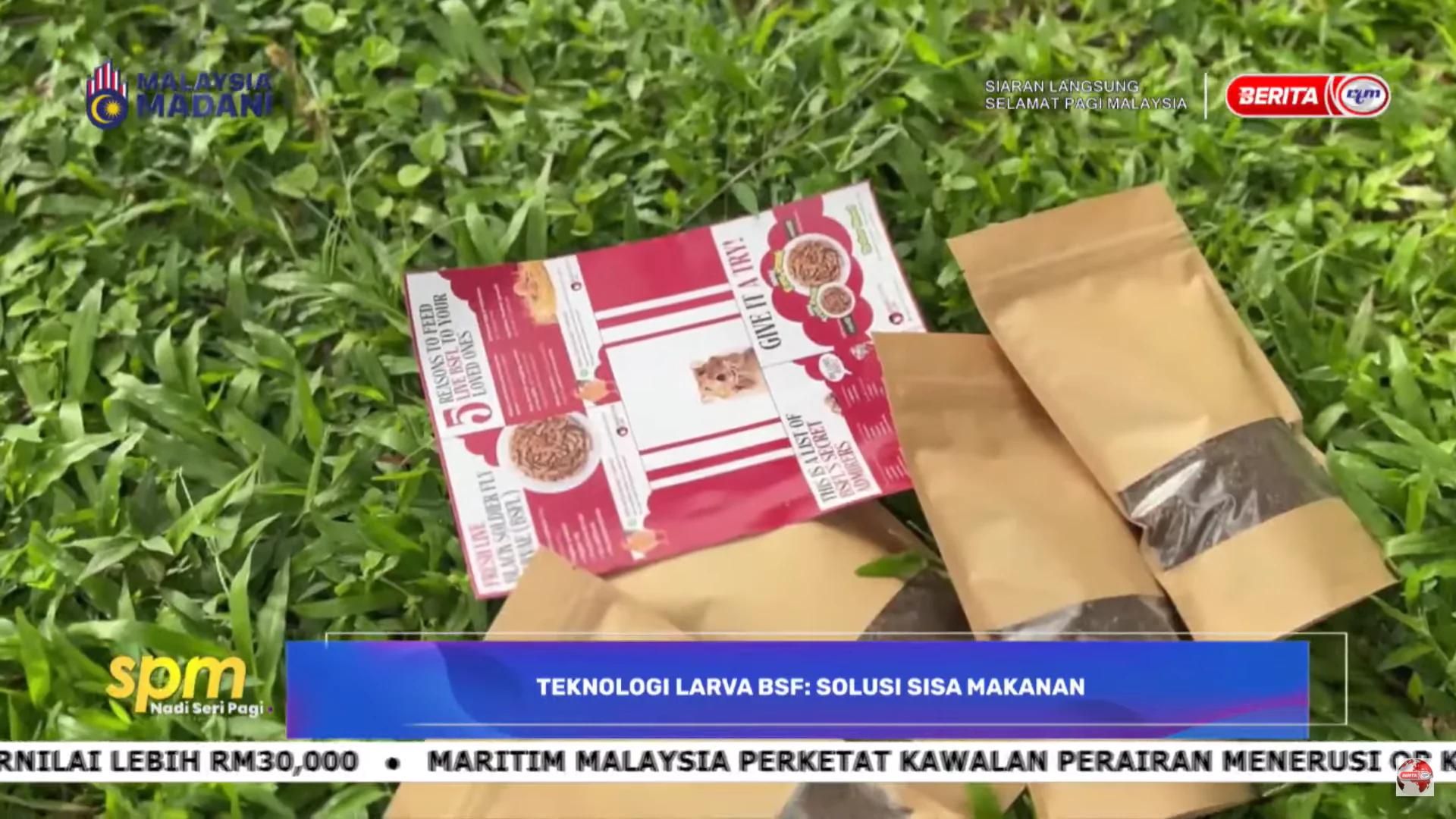 Insective Lab | University of Malaya